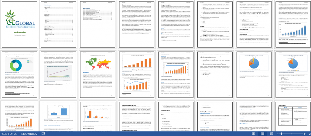 CBD Business Plan Sample