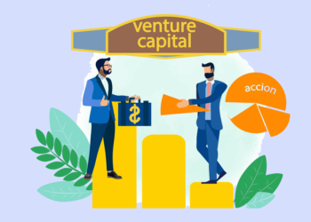 Venture Capital & Startup