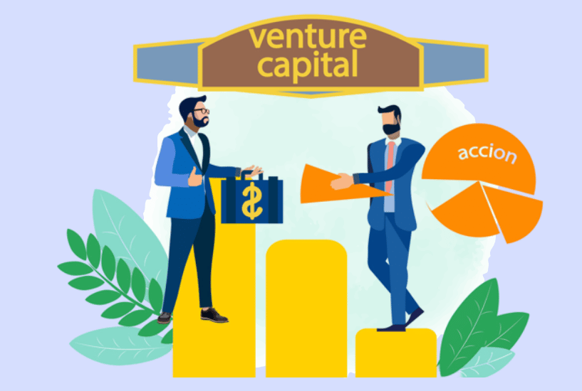 Venture Capital & Startup