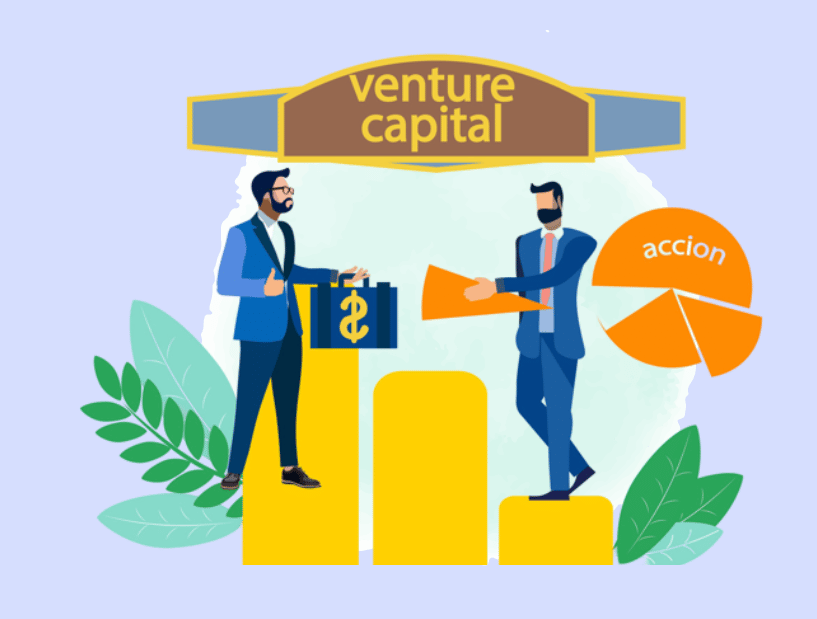 Venture Capital & Startup