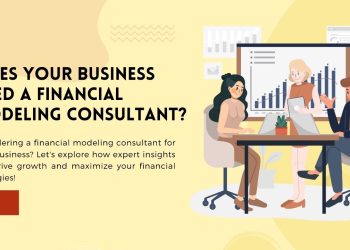 Does Your Business Need A Financial Modeling Consultant?